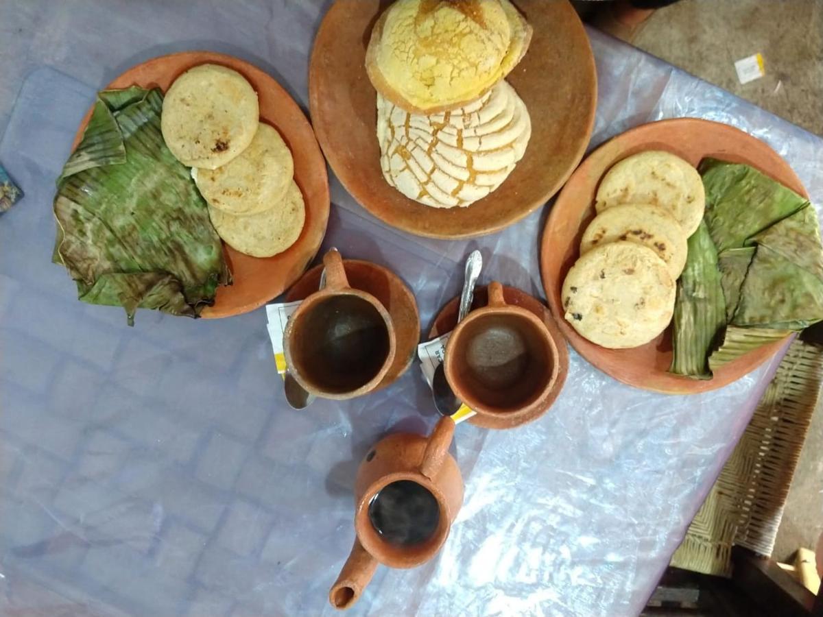Posada "Jardin Huasteca Xilitla" Zewnętrze zdjęcie
