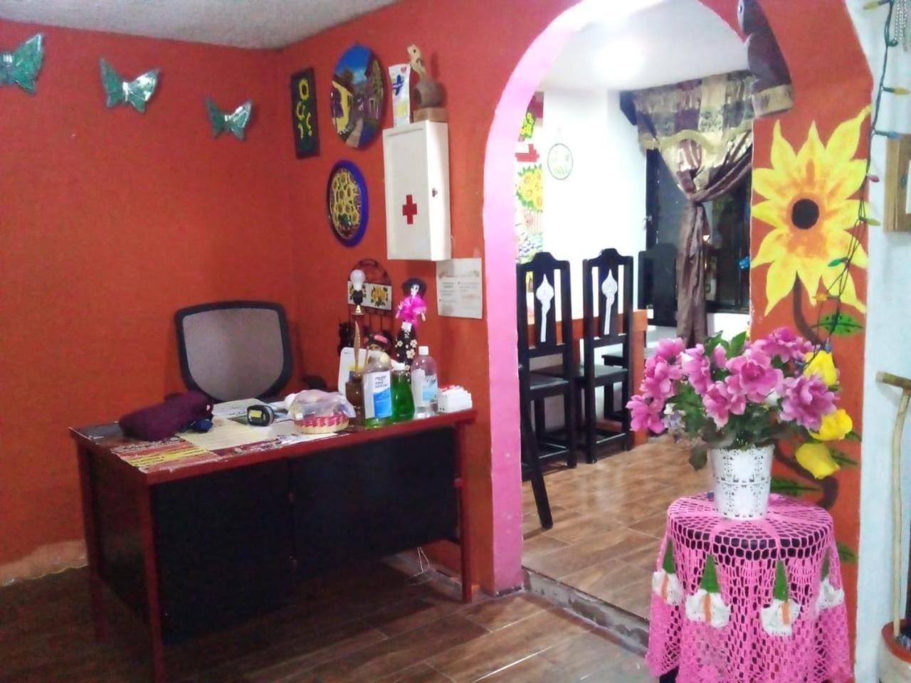 Posada "Jardin Huasteca Xilitla" Zewnętrze zdjęcie