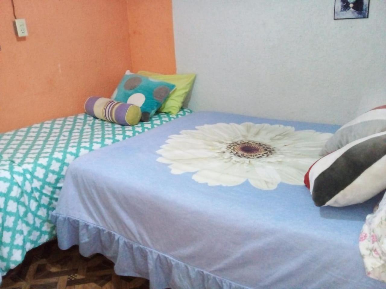 Posada "Jardin Huasteca Xilitla" Zewnętrze zdjęcie